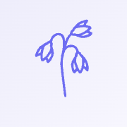 Bluebell Childcare Recruitment